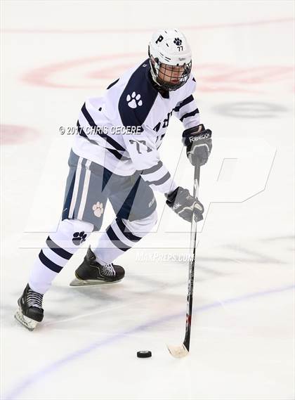 Thumbnail 1 in Victor vs. Pittsford (Section 5 Class A Semifinal) photogallery.