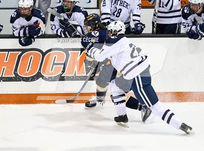 Thumbnail 3 in Victor vs. Pittsford (Section 5 Class A Semifinal) photogallery.