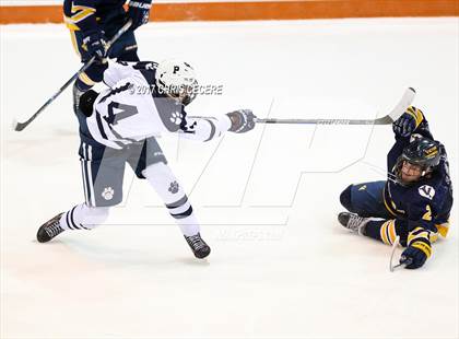 Thumbnail 2 in Victor vs. Pittsford (Section 5 Class A Semifinal) photogallery.