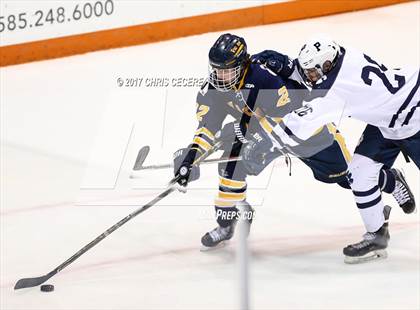 Thumbnail 1 in Victor vs. Pittsford (Section 5 Class A Semifinal) photogallery.