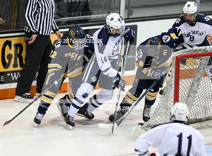 Thumbnail 2 in Victor vs. Pittsford (Section 5 Class A Semifinal) photogallery.