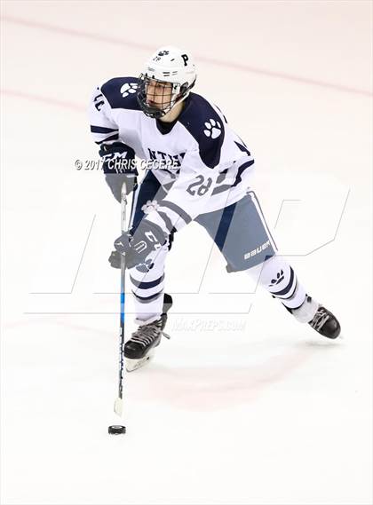Thumbnail 1 in Victor vs. Pittsford (Section 5 Class A Semifinal) photogallery.