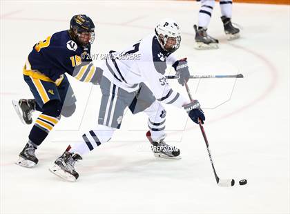 Thumbnail 1 in Victor vs. Pittsford (Section 5 Class A Semifinal) photogallery.