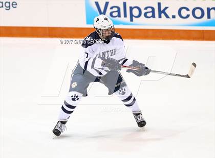 Thumbnail 3 in Victor vs. Pittsford (Section 5 Class A Semifinal) photogallery.