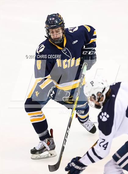 Thumbnail 1 in Victor vs. Pittsford (Section 5 Class A Semifinal) photogallery.