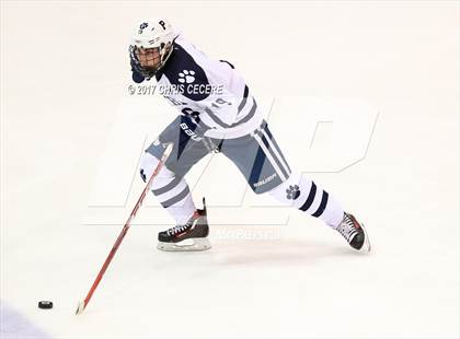 Thumbnail 1 in Victor vs. Pittsford (Section 5 Class A Semifinal) photogallery.