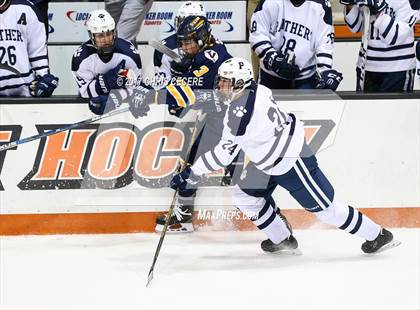 Thumbnail 1 in Victor vs. Pittsford (Section 5 Class A Semifinal) photogallery.