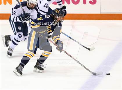 Thumbnail 3 in Victor vs. Pittsford (Section 5 Class A Semifinal) photogallery.