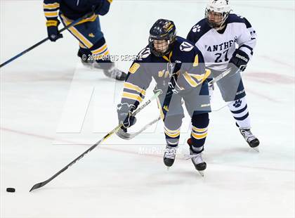 Thumbnail 3 in Victor vs. Pittsford (Section 5 Class A Semifinal) photogallery.