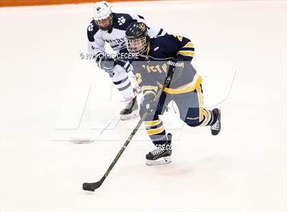 Thumbnail 2 in Victor vs. Pittsford (Section 5 Class A Semifinal) photogallery.