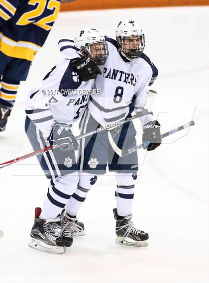 Thumbnail 1 in Victor vs. Pittsford (Section 5 Class A Semifinal) photogallery.