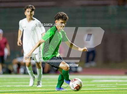 Thumbnail 3 in Pahrump Valley @ Virgin Valley photogallery.