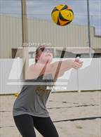 Photo from the gallery "Forest @ St. John Lutheran"