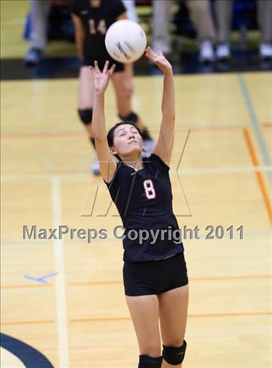 null - Photo 01