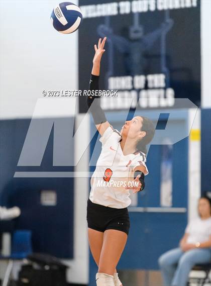Thumbnail 3 in Burbank vs Somerset (Hondo Volleyball Tournament) photogallery.