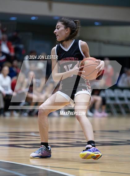 Thumbnail 1 in Albany Academy for Girls vs. Mechanicville (NYSPHSAA Section 2 Final) photogallery.