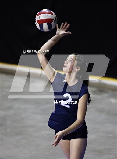 null - Photo 01