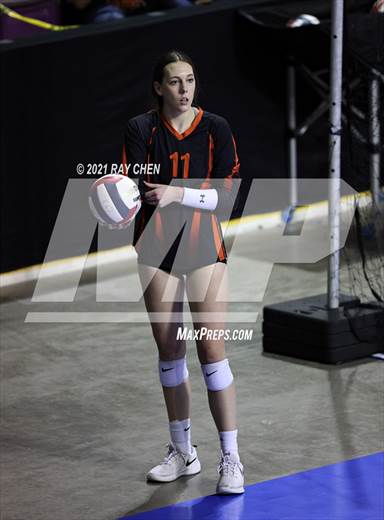 null - Photo 01