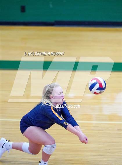 Thumbnail 3 in Arlington Heights vs Arlington photogallery.