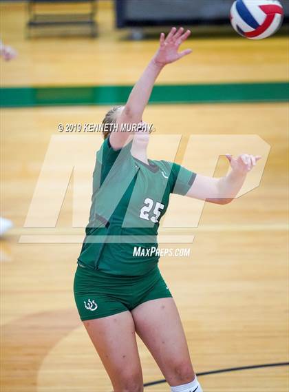 Thumbnail 3 in Arlington Heights vs Arlington photogallery.