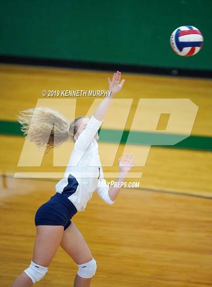 Thumbnail 3 in Arlington Heights vs Arlington photogallery.
