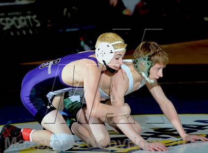 Thumbnail 1 in 2013 NYSPHSAA Boys Wrestling Championships (D2 Finals & Podiums) photogallery.