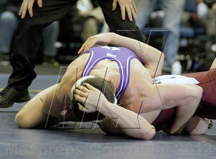 Thumbnail 1 in 2013 NYSPHSAA Boys Wrestling Championships (D2 Finals & Podiums) photogallery.
