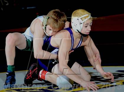 Thumbnail 2 in 2013 NYSPHSAA Boys Wrestling Championships (D2 Finals & Podiums) photogallery.