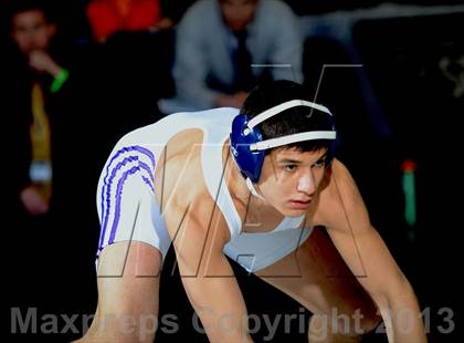 Thumbnail 3 in 2013 NYSPHSAA Boys Wrestling Championships (D2 Finals & Podiums) photogallery.