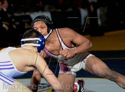 Thumbnail 1 in 2013 NYSPHSAA Boys Wrestling Championships (D2 Finals & Podiums) photogallery.