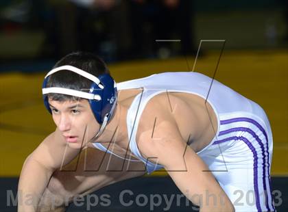 Thumbnail 2 in 2013 NYSPHSAA Boys Wrestling Championships (D2 Finals & Podiums) photogallery.