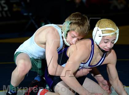 Thumbnail 1 in 2013 NYSPHSAA Boys Wrestling Championships (D2 Finals & Podiums) photogallery.