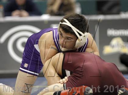 Thumbnail 1 in 2013 NYSPHSAA Boys Wrestling Championships (D2 Finals & Podiums) photogallery.