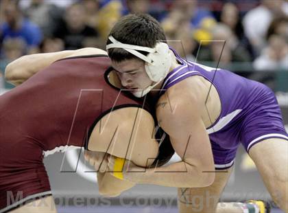 Thumbnail 2 in 2013 NYSPHSAA Boys Wrestling Championships (D2 Finals & Podiums) photogallery.