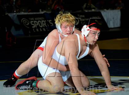 Thumbnail 2 in 2013 NYSPHSAA Boys Wrestling Championships (D2 Finals & Podiums) photogallery.