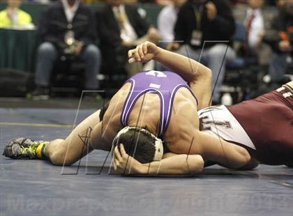 Thumbnail 3 in 2013 NYSPHSAA Boys Wrestling Championships (D2 Finals & Podiums) photogallery.