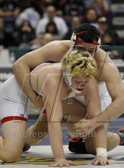 Thumbnail 1 in 2013 NYSPHSAA Boys Wrestling Championships (D2 Finals & Podiums) photogallery.