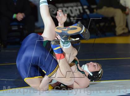 Thumbnail 2 in 2013 NYSPHSAA Boys Wrestling Championships (D2 Finals & Podiums) photogallery.