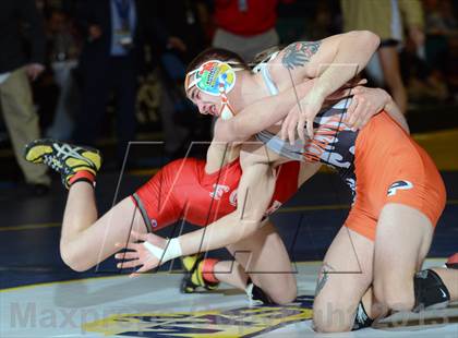 Thumbnail 2 in 2013 NYSPHSAA Boys Wrestling Championships (D2 Finals & Podiums) photogallery.