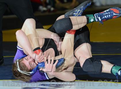 Thumbnail 1 in 2013 NYSPHSAA Boys Wrestling Championships (D2 Finals & Podiums) photogallery.