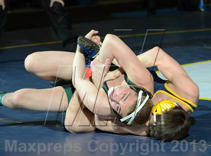 Thumbnail 2 in 2013 NYSPHSAA Boys Wrestling Championships (D2 Finals & Podiums) photogallery.