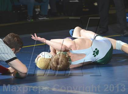 Thumbnail 1 in 2013 NYSPHSAA Boys Wrestling Championships (D2 Finals & Podiums) photogallery.