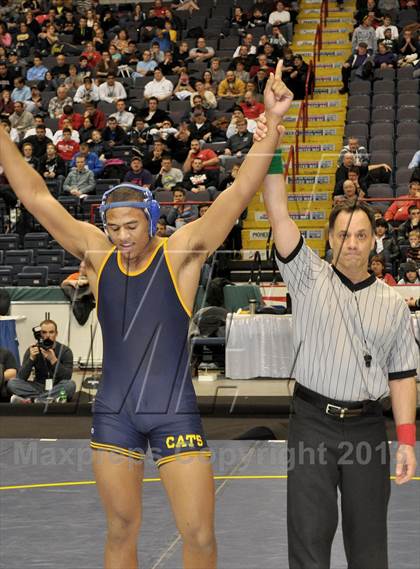 Thumbnail 3 in 2013 NYSPHSAA Boys Wrestling Championships (D2 Finals & Podiums) photogallery.