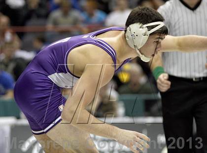 Thumbnail 2 in 2013 NYSPHSAA Boys Wrestling Championships (D2 Finals & Podiums) photogallery.