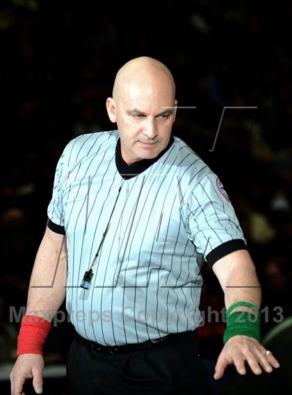 Thumbnail 2 in 2013 NYSPHSAA Boys Wrestling Championships (D2 Finals & Podiums) photogallery.