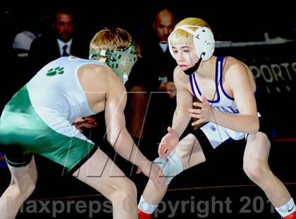 Thumbnail 1 in 2013 NYSPHSAA Boys Wrestling Championships (D2 Finals & Podiums) photogallery.