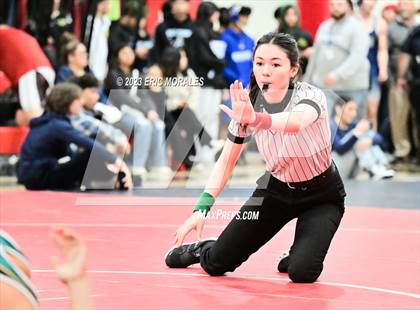 Thumbnail 1 in Metro Conference Championships photogallery.