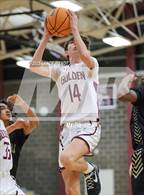 Photo from the gallery "Aurora Central @ Golden"