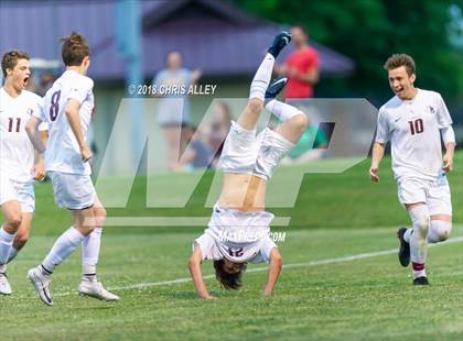 Thumbnail 1 in Dobyns-Bennett vs. West (TSSAA Region 1-AAA Semifinal) photogallery.