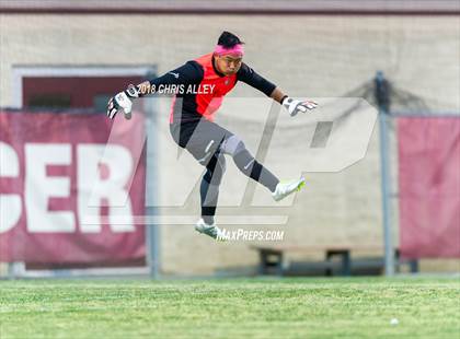 Thumbnail 1 in Dobyns-Bennett vs. West (TSSAA Region 1-AAA Semifinal) photogallery.
